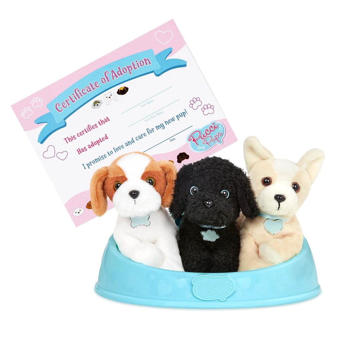 Adopt-A-Pup: Shih Tzu, Chihuahua & Poodle